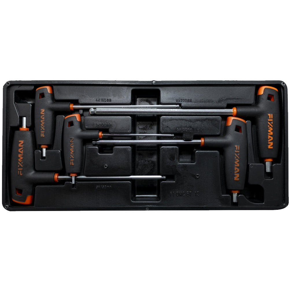 5-Piece L-Type Ball Head Allen Wrench Set with a Tray