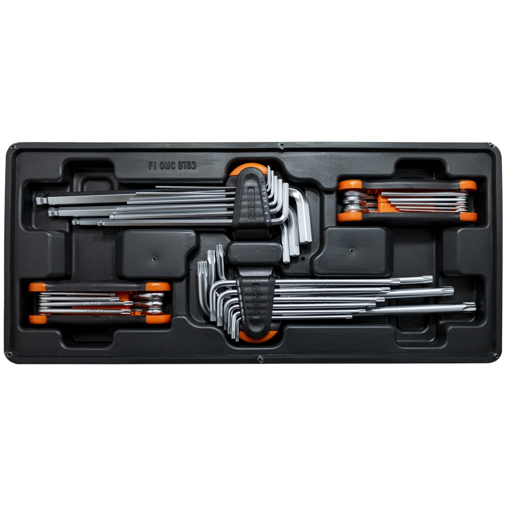 4-piece Allen and Torx wrench set with tray