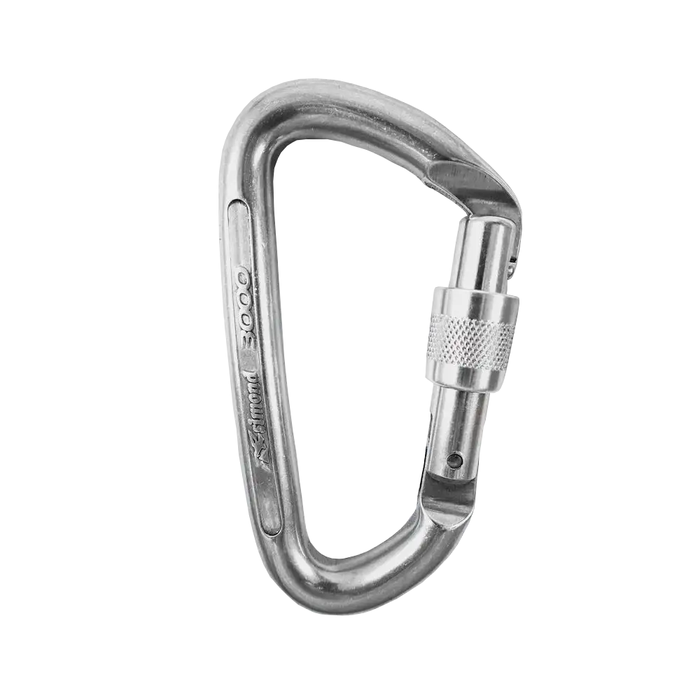 Carabiner with swivel lock